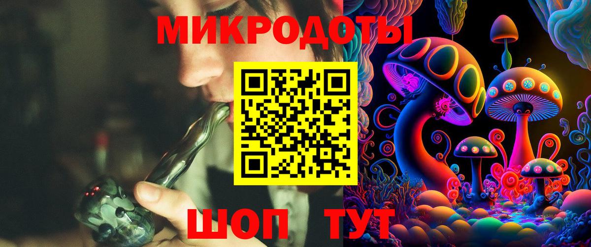 Галлюциногенные грибы Psilocybine cubensis Ессентуки