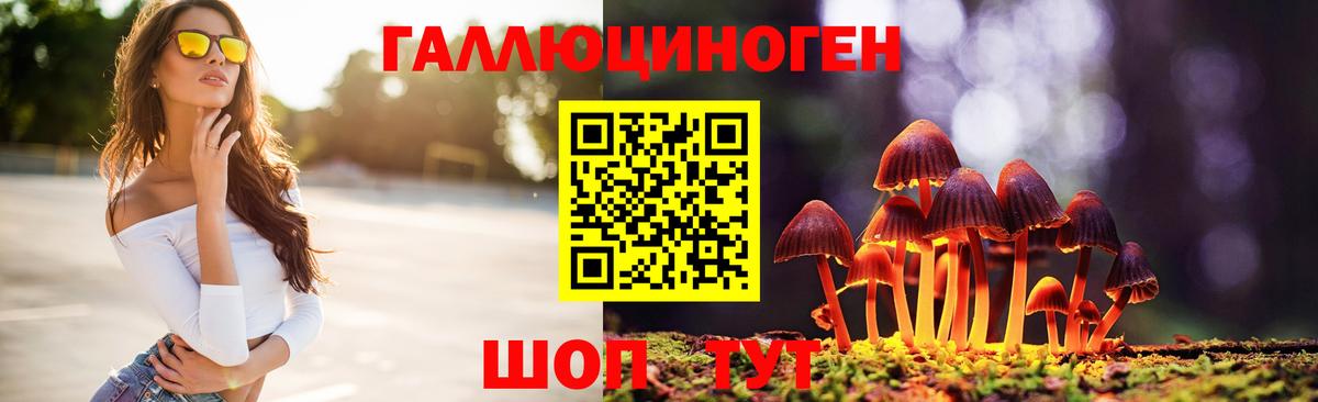 Псилоцибиновые грибы мицелий  Вход с VPN  Ессентуки 